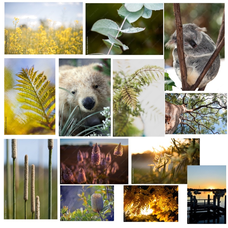 nature Mood Board by joannegames0219 on Style Sourcebook