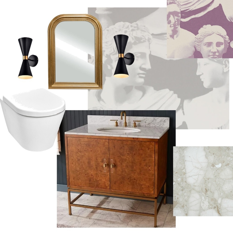 Chamonix powder room 2 Mood Board by Giacomo on Style Sourcebook