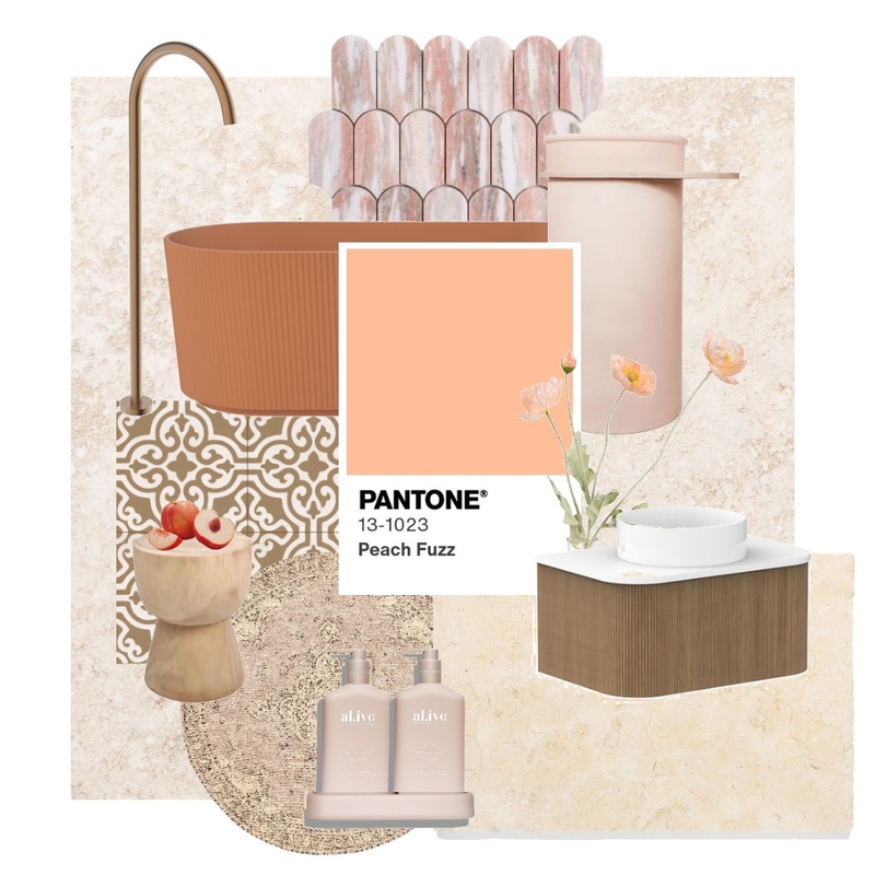Peach Fuzz - 2024 Pantone Colour Of The Year Mood Board by ambertiles.com.au on Style Sourcebook
