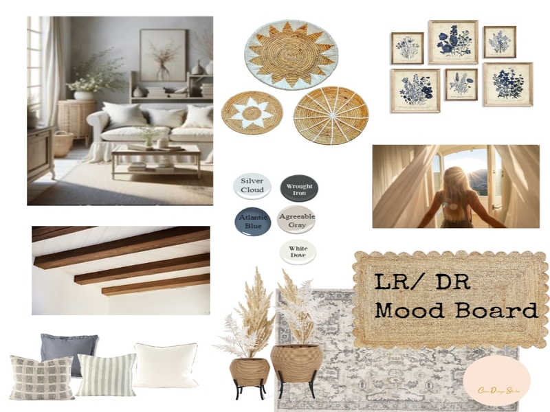 LR/ DR Mood Board Mood Board by Cicco Design Studio on Style Sourcebook