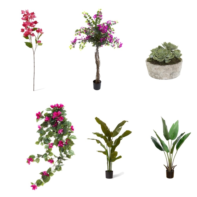 Plants Mood Board by humanhazel on Style Sourcebook