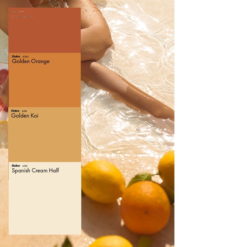 Orange Color Palette Mood Board by UNNATIADHIKARI on Style Sourcebook