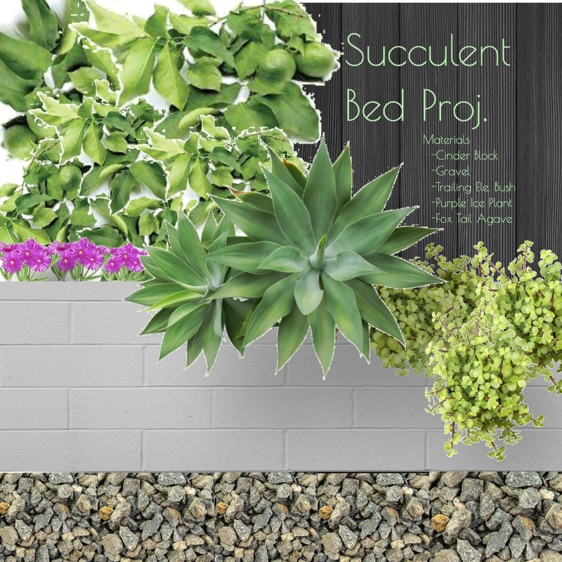 Succulent Bed Pros. Mood Board by Gabe L on Style Sourcebook