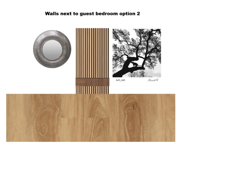 Catherine Madonsela's Residence- Walls next to guest bedroom option 2 Mood Board by Asma Murekatete on Style Sourcebook