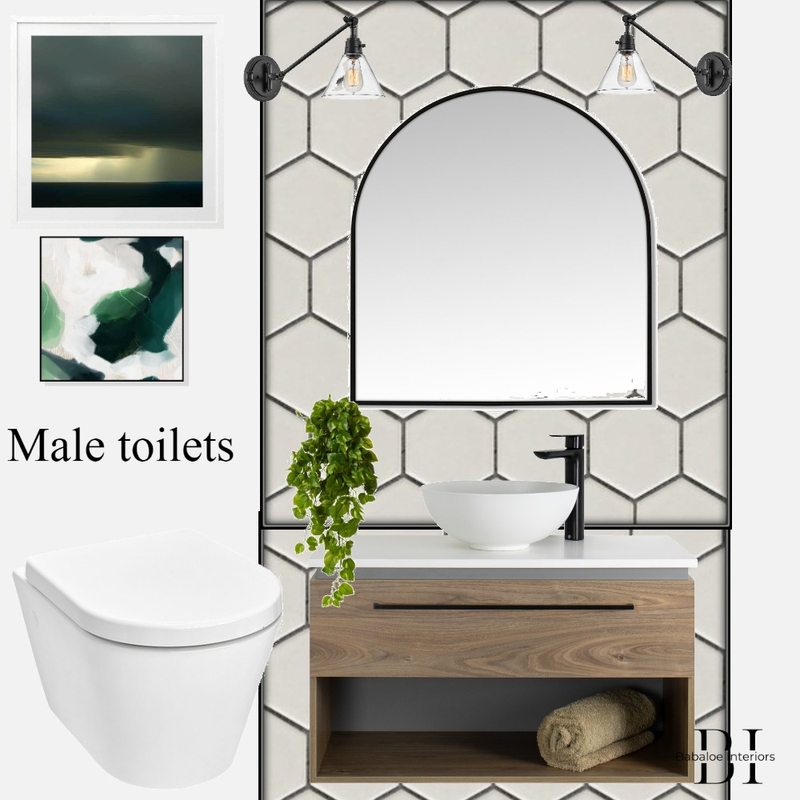 Male toilets Mood Board by Babaloe Interiors on Style Sourcebook