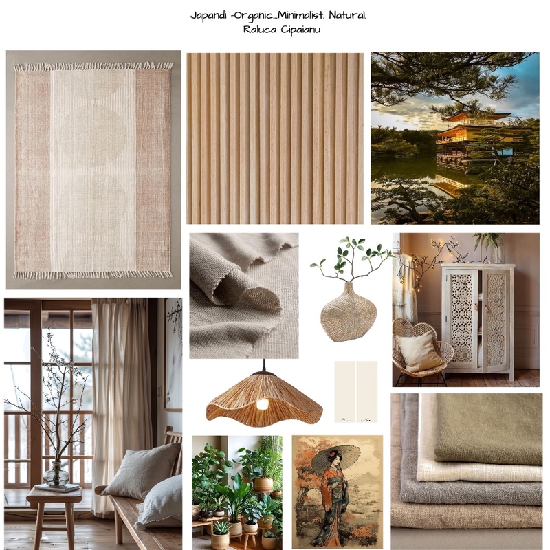 Assignment 3 - Mid century modern mood board Mood Board by Raluca Cipaianu on Style Sourcebook