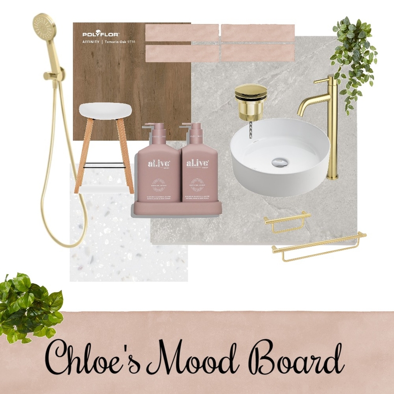 Chloe's Mood Board Mood Board by Kimmyphil on Style Sourcebook