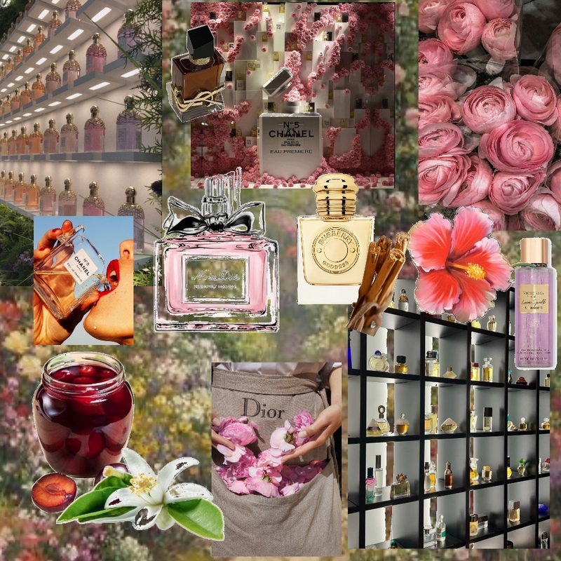 Perfume store Mood Board by Evita.swt on Style Sourcebook