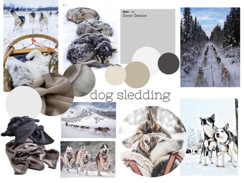 MB dog sledding Mood Board by DMQuinn on Style Sourcebook