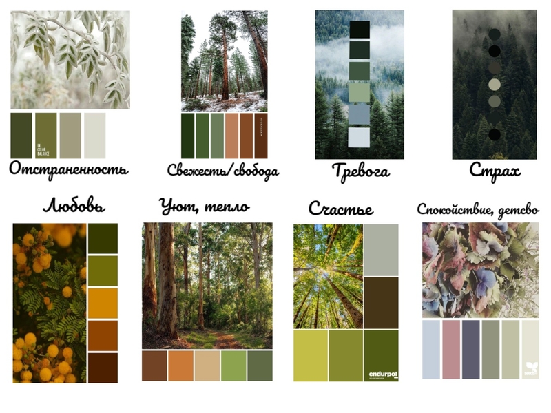 ДЗ цветовые палитры Mood Board by Anastasiya Botina on Style Sourcebook