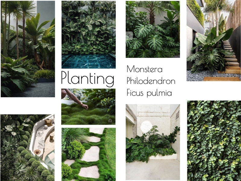 Planting Temira 1 Mood Board by Olive & Pink on Style Sourcebook