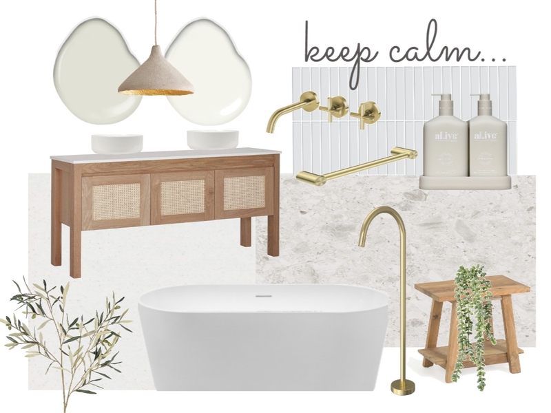 Accessible Bathroom 2 Mood Board by amybeezy21@gmail.com on Style Sourcebook