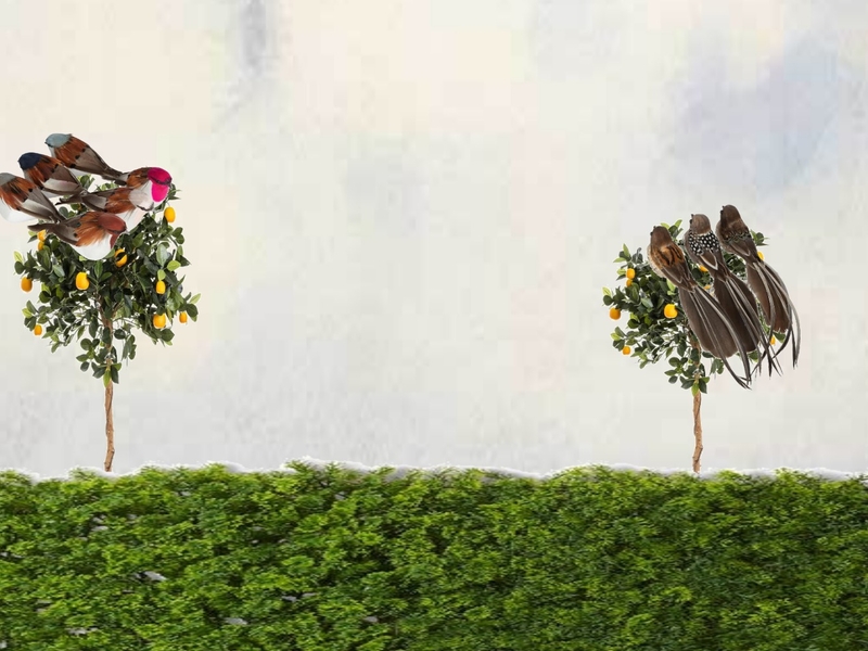 by victor Mood Board by My_Nataliya on Style Sourcebook