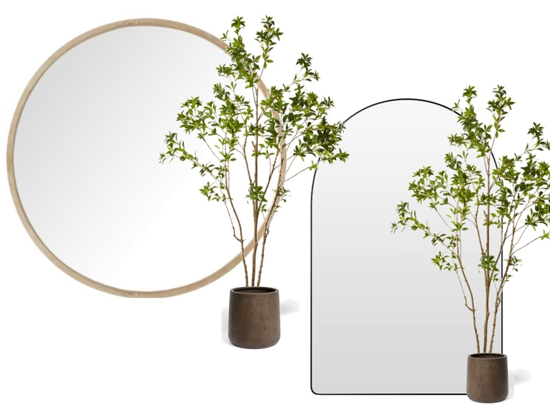 15 watson street, camp hill Mood Board by tlaws on Style Sourcebook