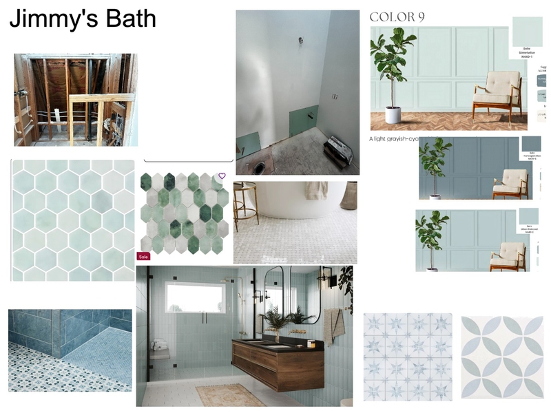 Jimmy's Bathroom Mood Board by MTLuppino@gmail.com on Style Sourcebook