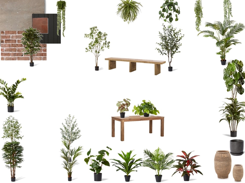 Plant Shop - In progress Mood Board by Savvy & Co. on Style Sourcebook