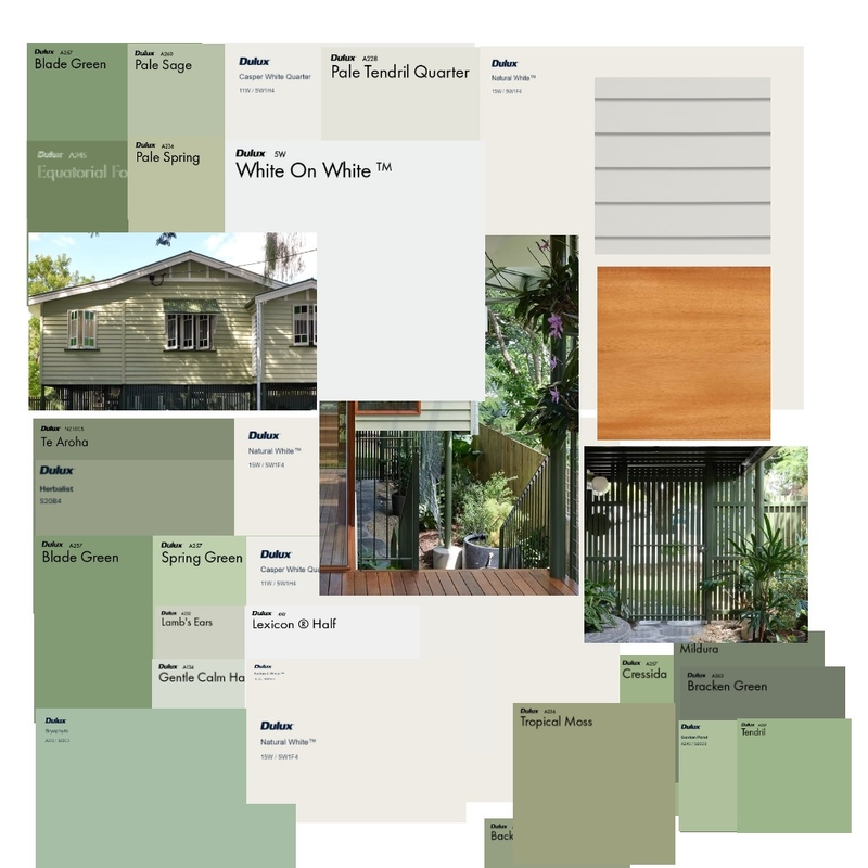 Paint - Exterior sample colours Mood Board by Dennis Hill Architecture on Style Sourcebook