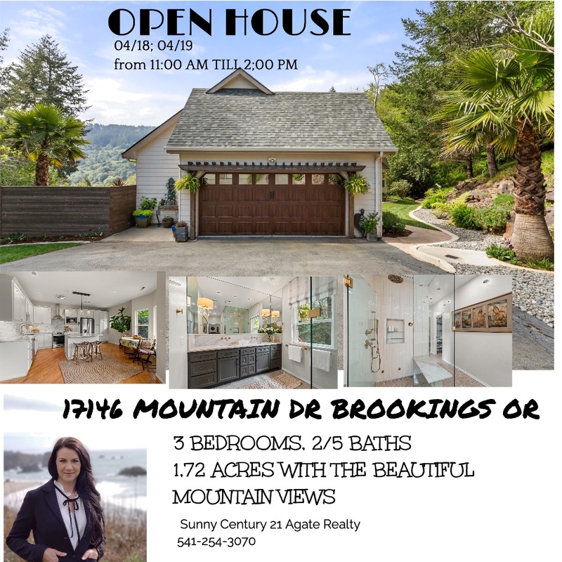 17146 Mountain Dr Interior Design Mood Board by sunny@century21agate.com