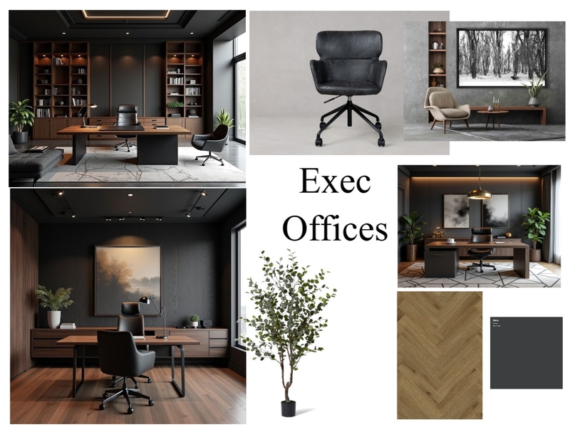 Abakhulu Exec office Interior Design Mood Board by Carla Dunn Interiors
