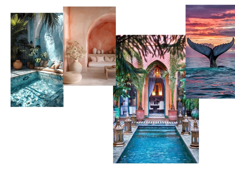 bijgebouw Mood Board by Charlotte Symens on Style Sourcebook