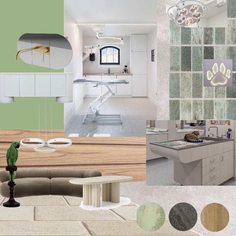 vet clinic Mood Board by Zori Rudova on Style Sourcebook