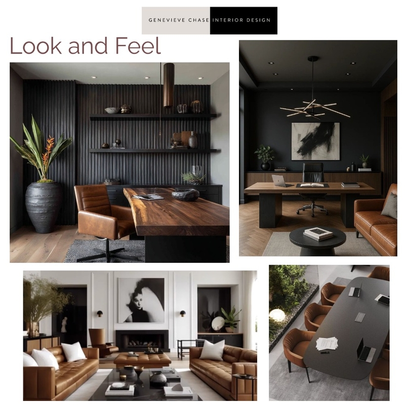 Project DM Look and Feel Interior Design Mood Board by Genevieve Chase Interior Design