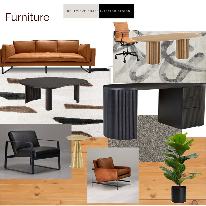 Project DM Furniture Interior Design Mood Board by Genevieve Chase Interior Design