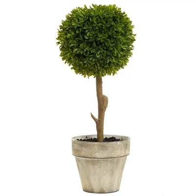 Artificial Boxwood Ball Topiary in Pot