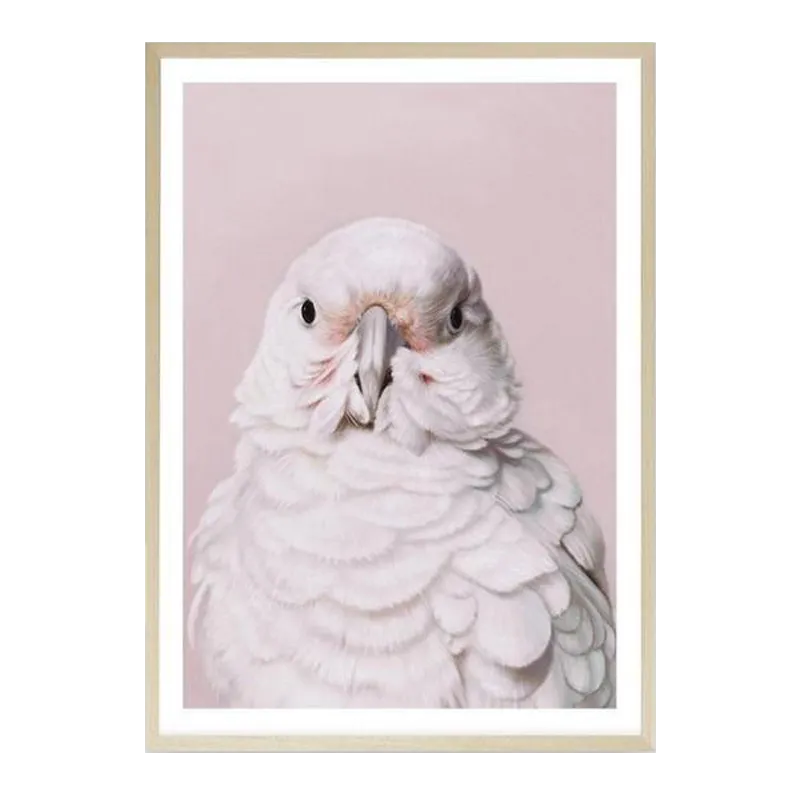 Milly The Umbrella Cockatoo - Pink Art Print