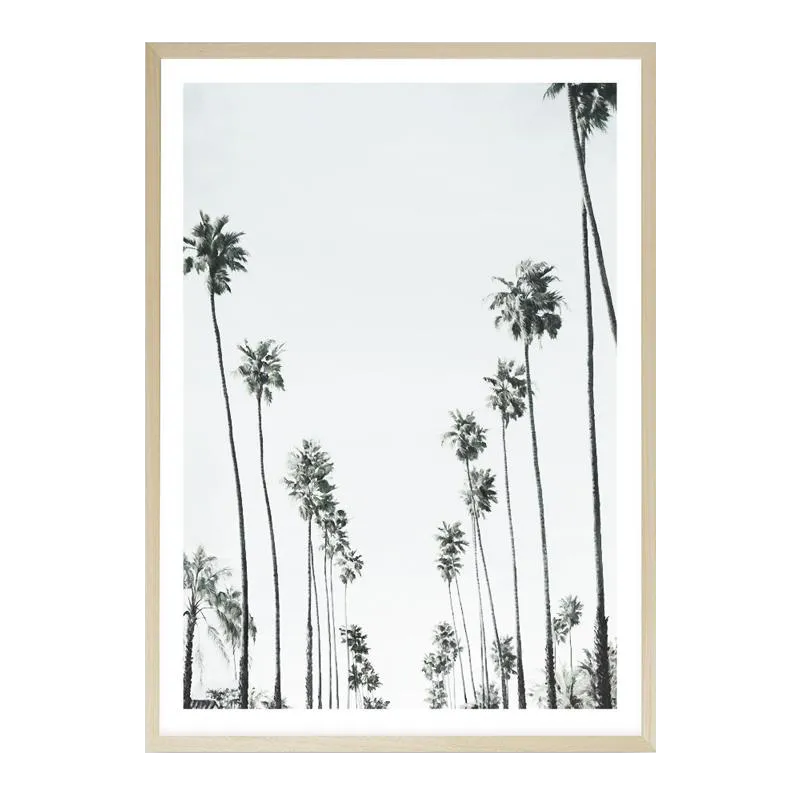 California Palms II Art Print