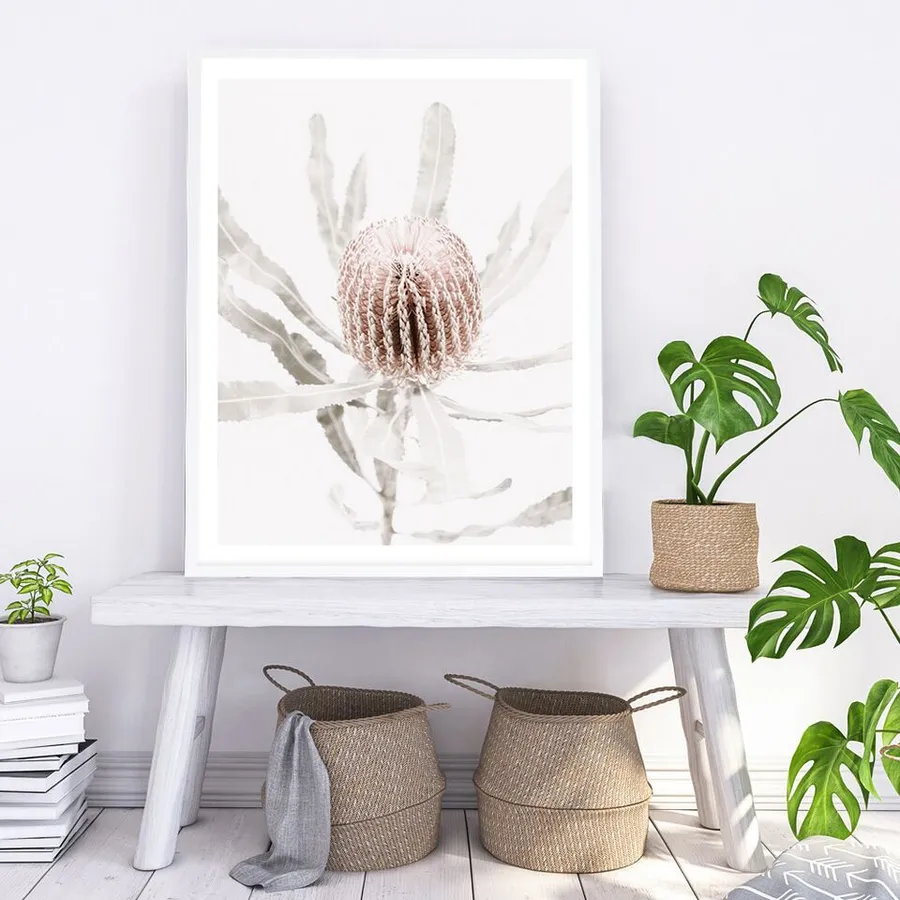 Banksia I Photo Art Print