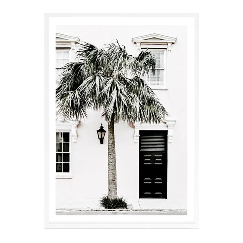 Palm House II Photo Art Print