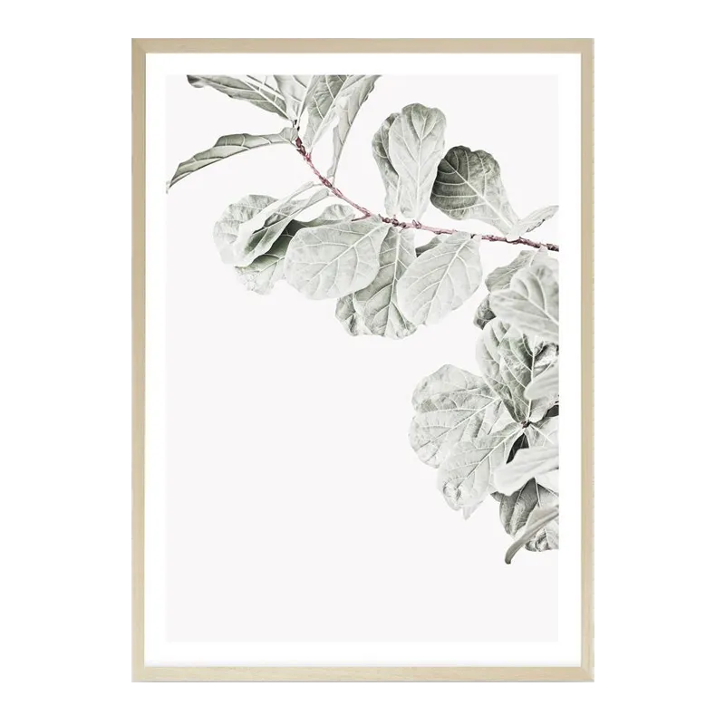 Fiddle-Leaf Fig II Photo Art Print