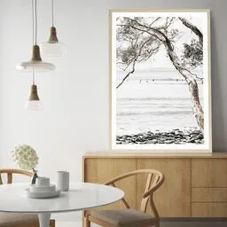 Tea Tree Bay I Photo Art Print