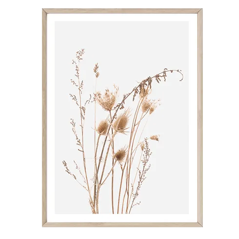 Dried Field Grasses