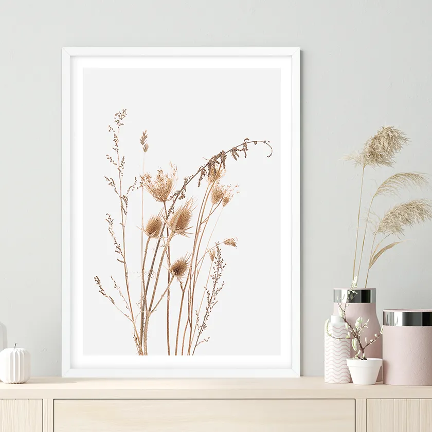 Dried Field Grasses