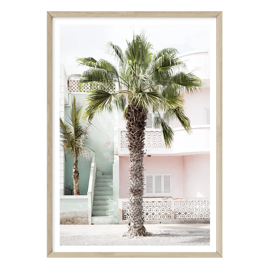 Cape Palm