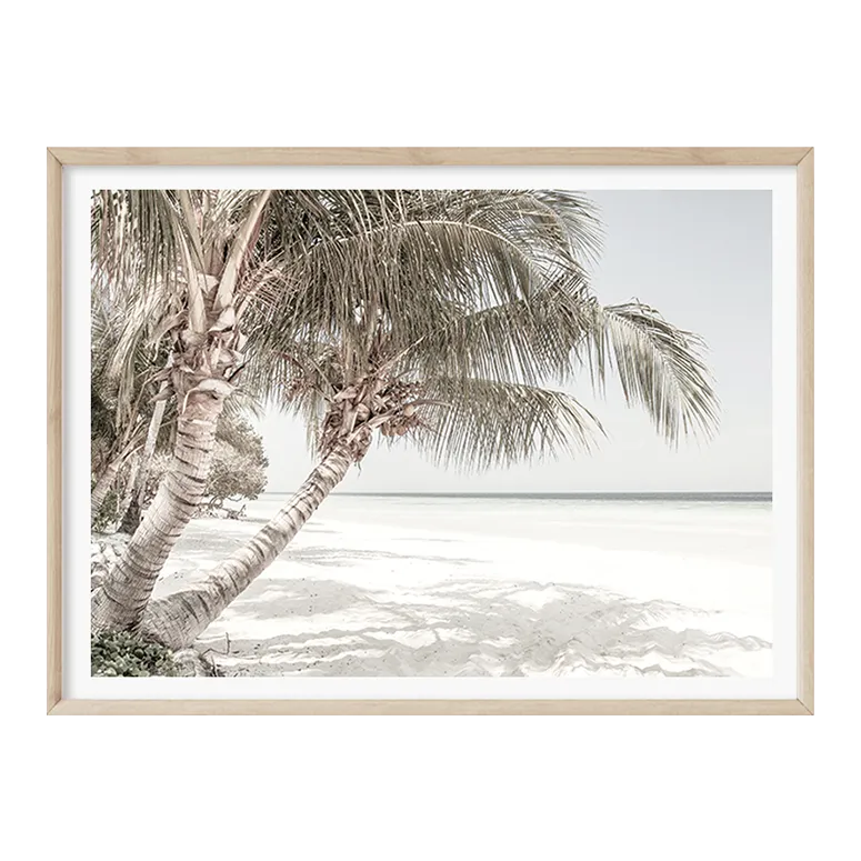 Palm Dreaming