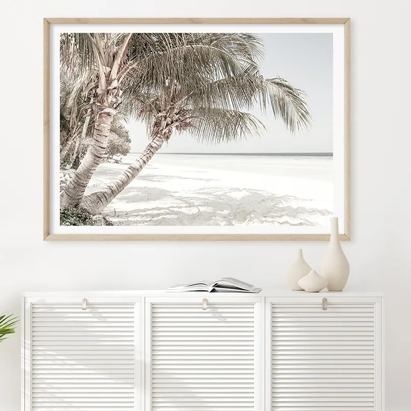 Palm Dreaming