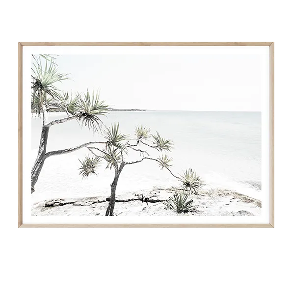 Stradbroke Island III