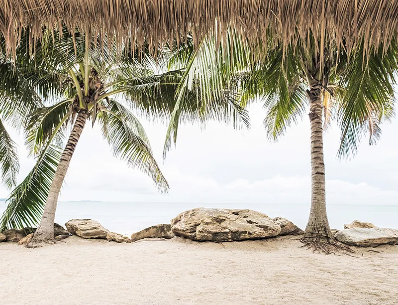 Oahu Island Removable Wallpaper Mural