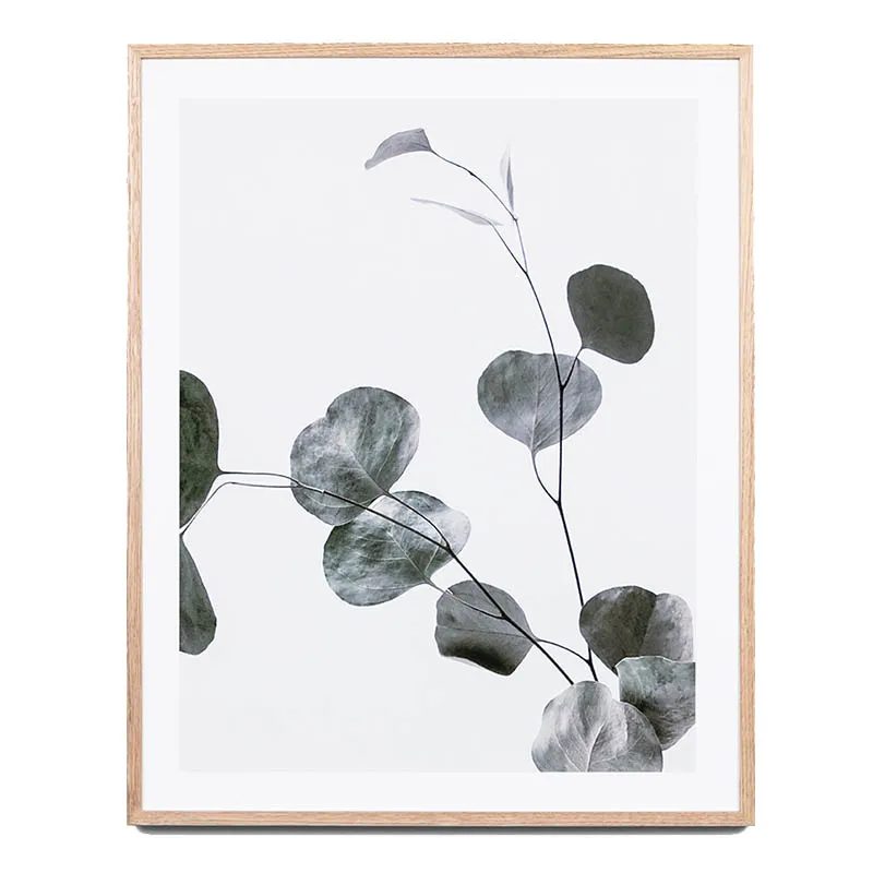 Eucalyptus Branch 2 Framed Print in 64 x 79cm
