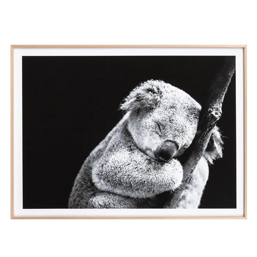 Sleepy Koala Framed Print in 114 x 85cm