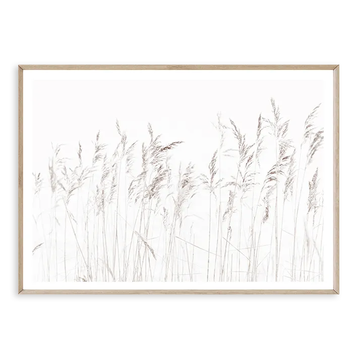 Coastal Grass
