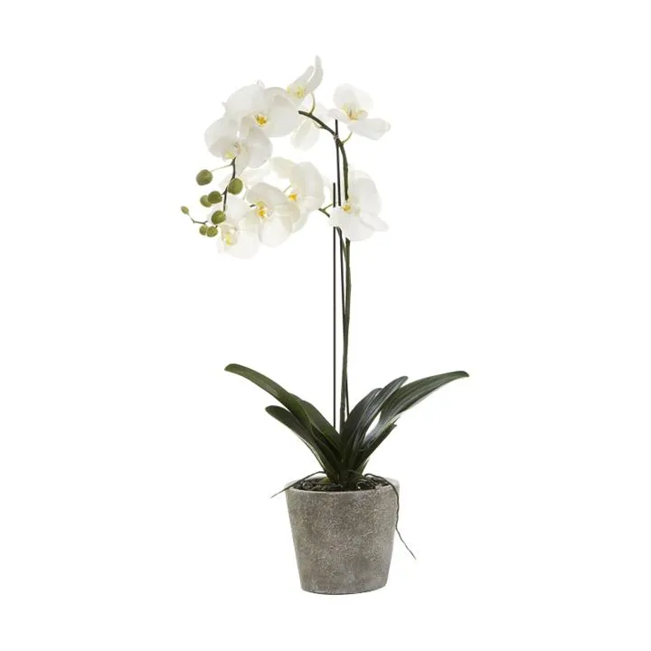 Artificial Orchid in Clay Pot