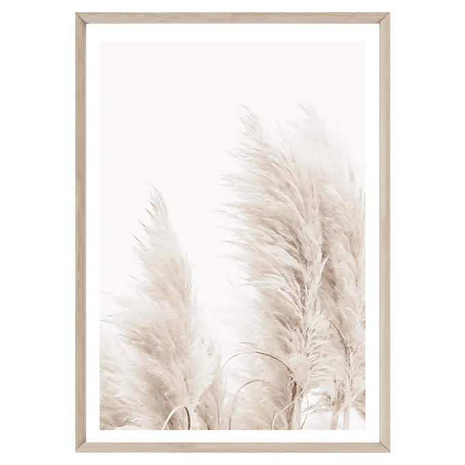 Pampas III