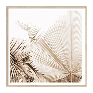 Dried Fan Palm (square)