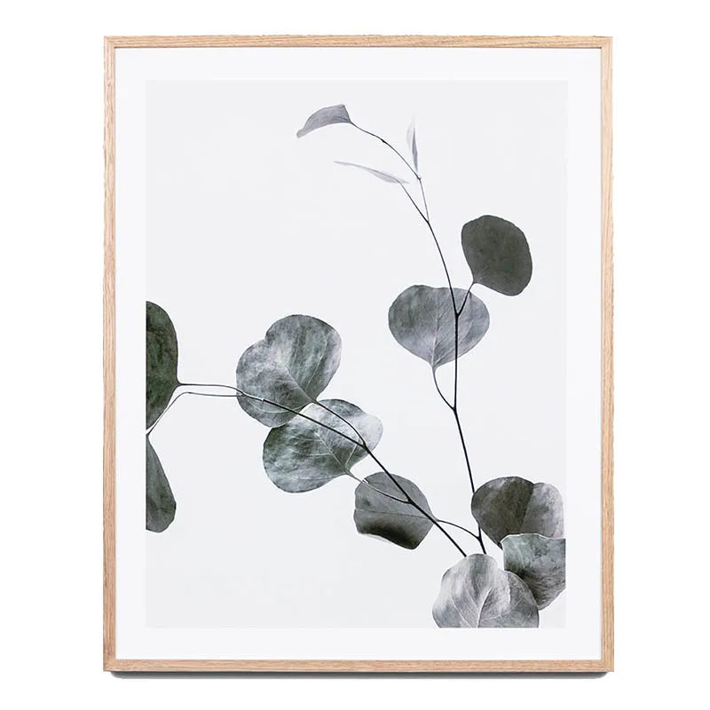 Eucalyptus Branch 2 Framed Print in 81 x 101cm