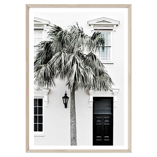 Palm Entrance II