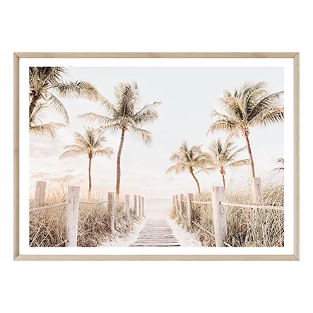 Paradise Dreaming